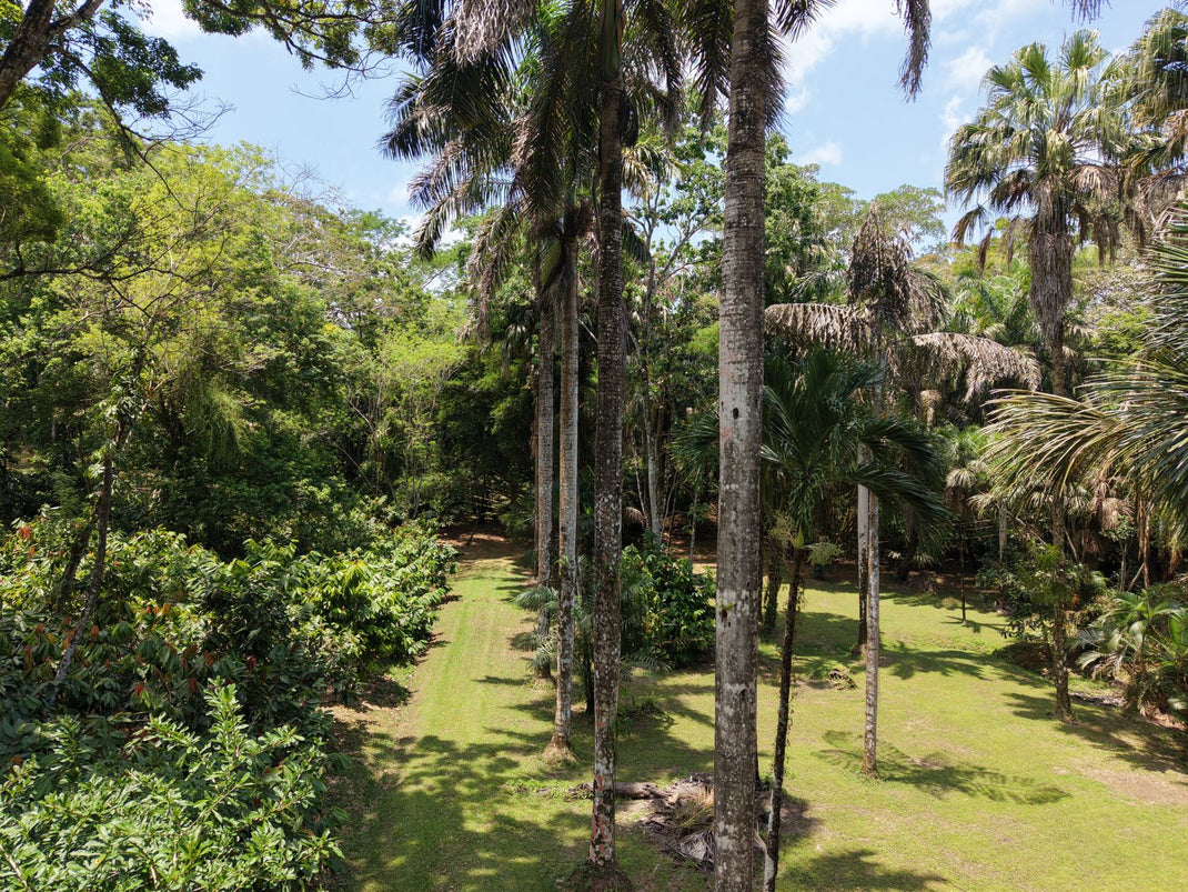 Land & Acreage