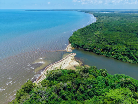 Off-Grid Beachfront Property | Mullins River, Stann Creek District