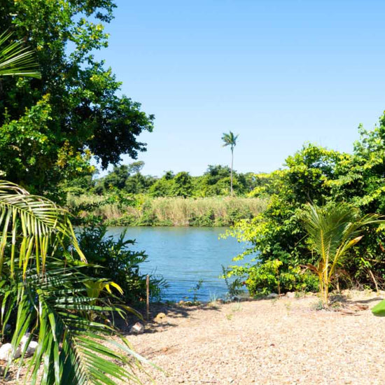 Riverfront In Sought After Phase 3 of Sittee Point | Stann Creek District