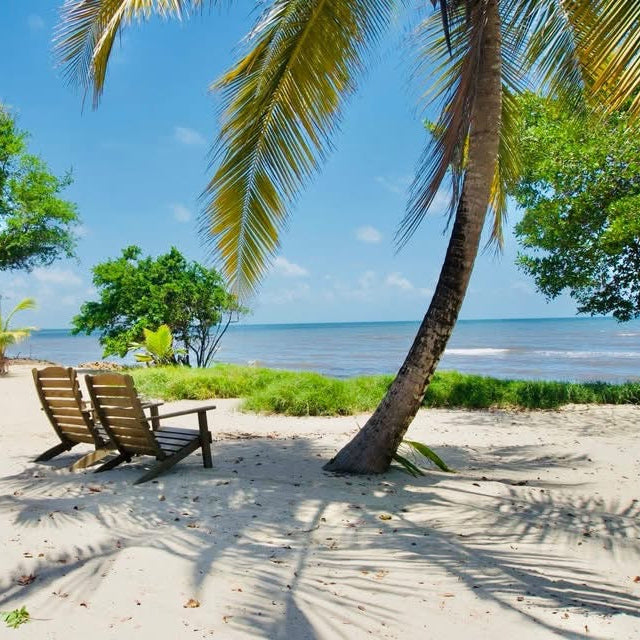 Off-Grid Beachfront Property | Mullins River, Stann Creek District