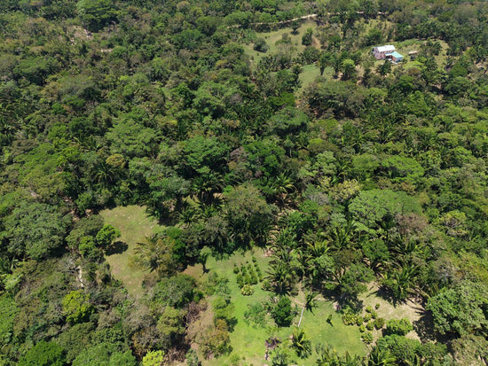 30 Acres + 2 + 1.5 Hilltop House | Big Falls, Toledo District