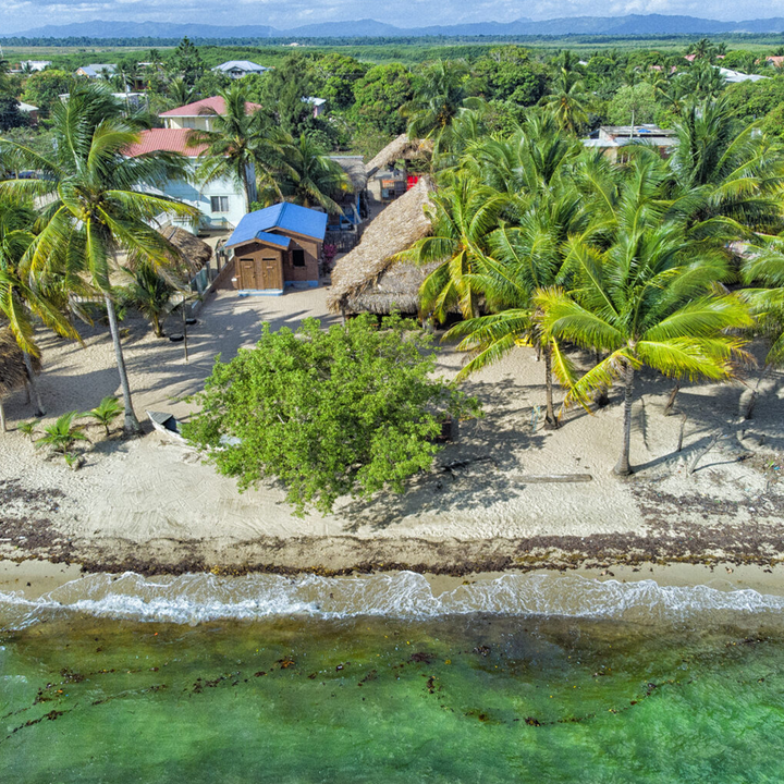 Driftwood Beach Bar & Pizza Shack  | Hopkins, Stann Creek District