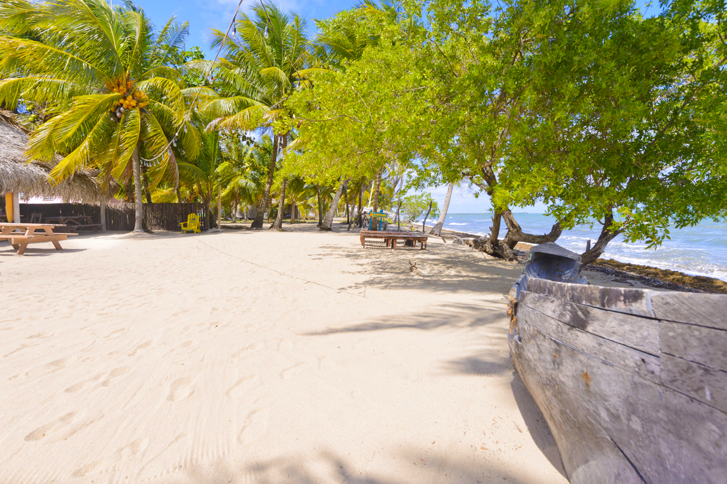 Driftwood Beach Bar & Pizza Shack  | Hopkins, Stann Creek District