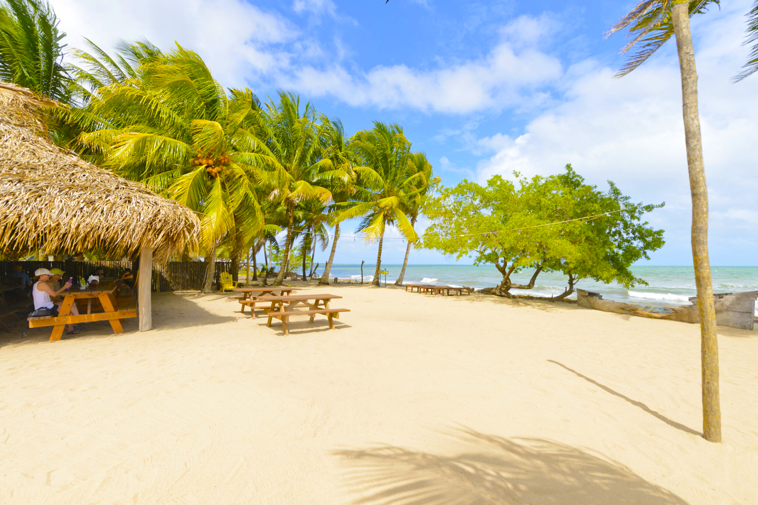 Driftwood Beach Bar & Pizza Shack  | Hopkins, Stann Creek District
