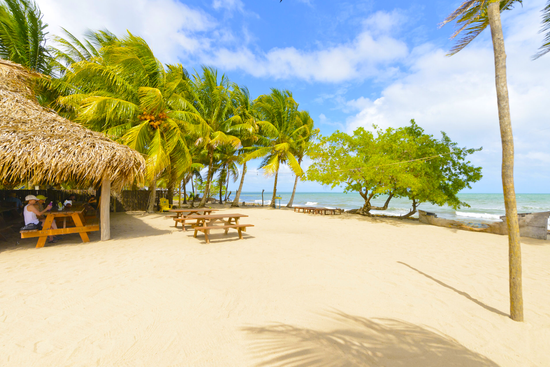 Driftwood Beach Bar & Pizza Shack  | Hopkins, Stann Creek District