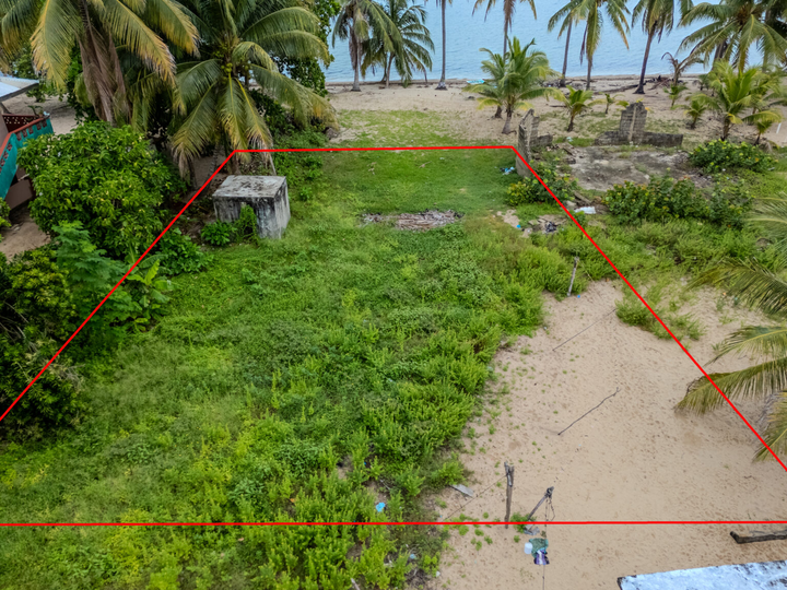 Rare Hopkins Beachfront Land | Stann Creek District