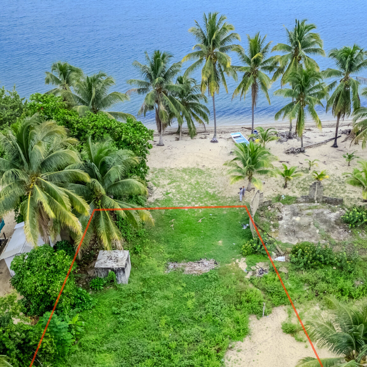 Rare Hopkins Beachfront Land | Stann Creek District